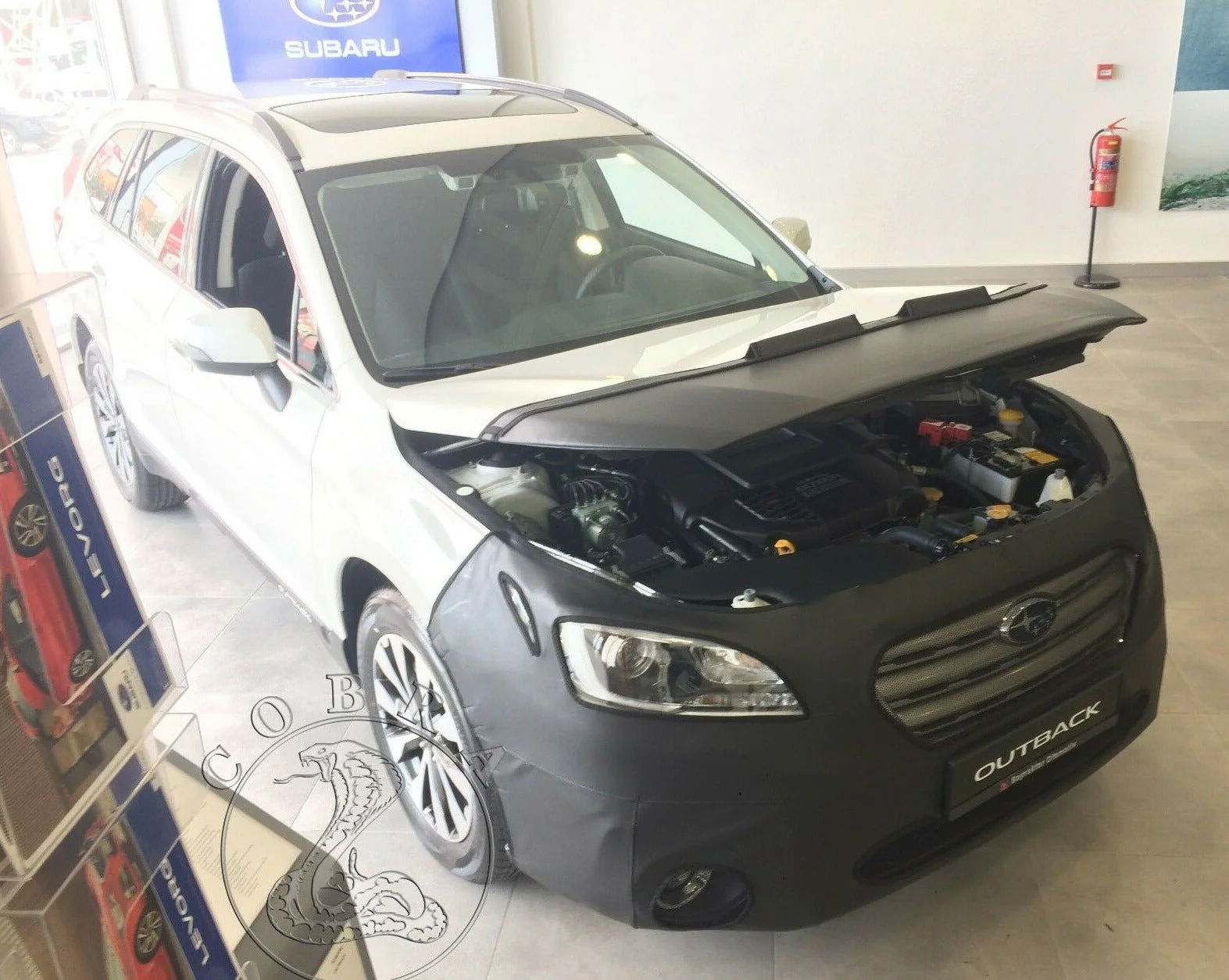 Full Mask Bra For Subaru Outback 2015-2019 - Image 6