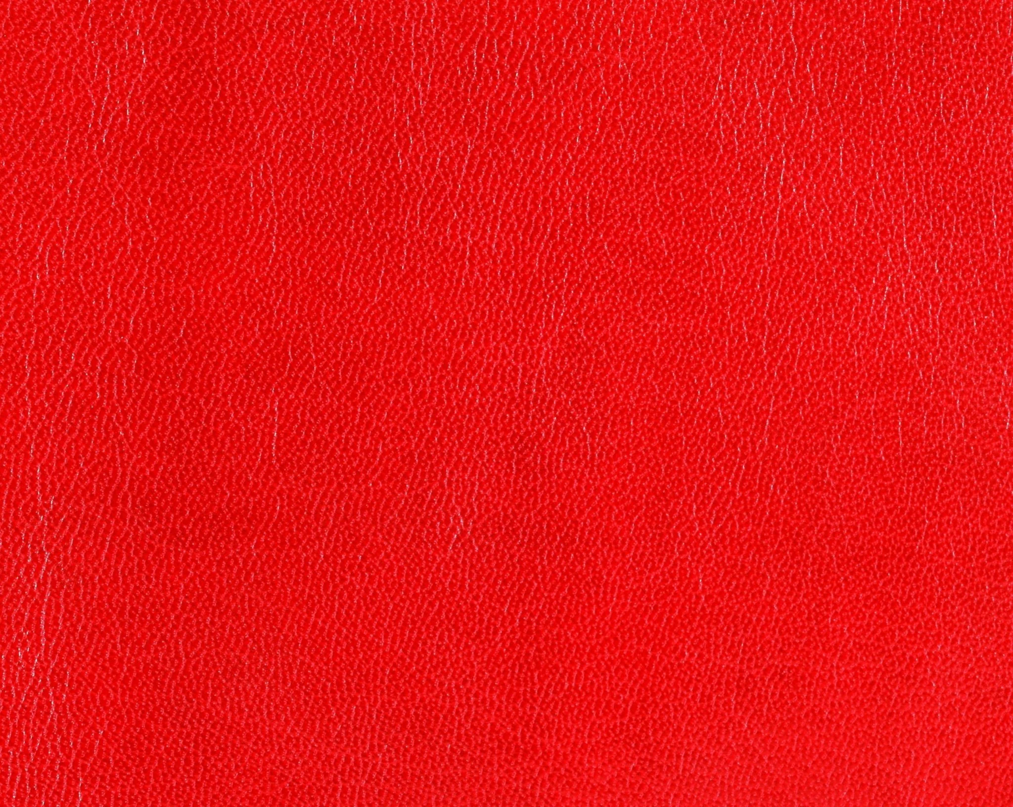 Hood Bra For Tesla Model 3 2017-2023 - Image 10