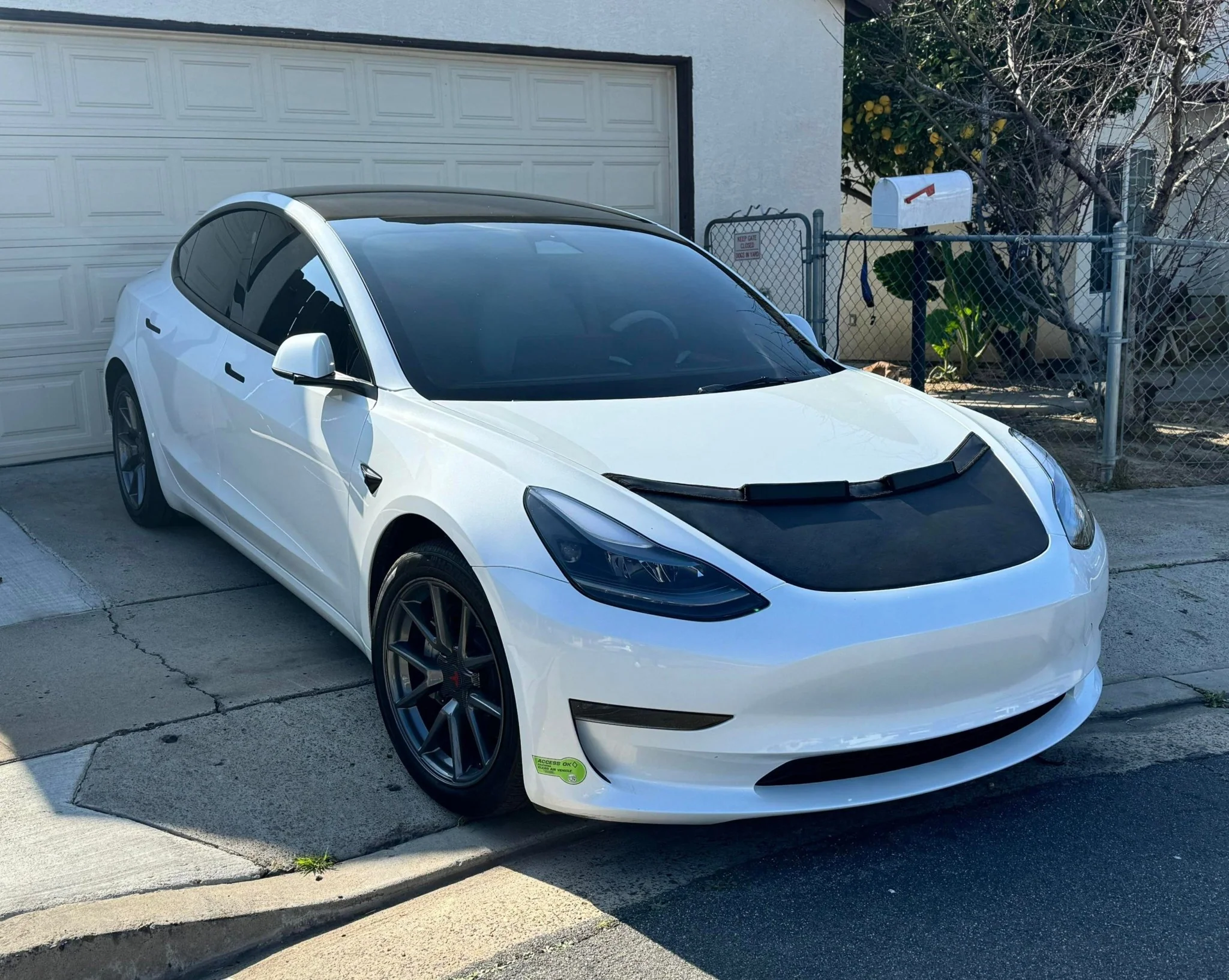 Hood Bra For Tesla Model 3 2017-2023 - Image 3