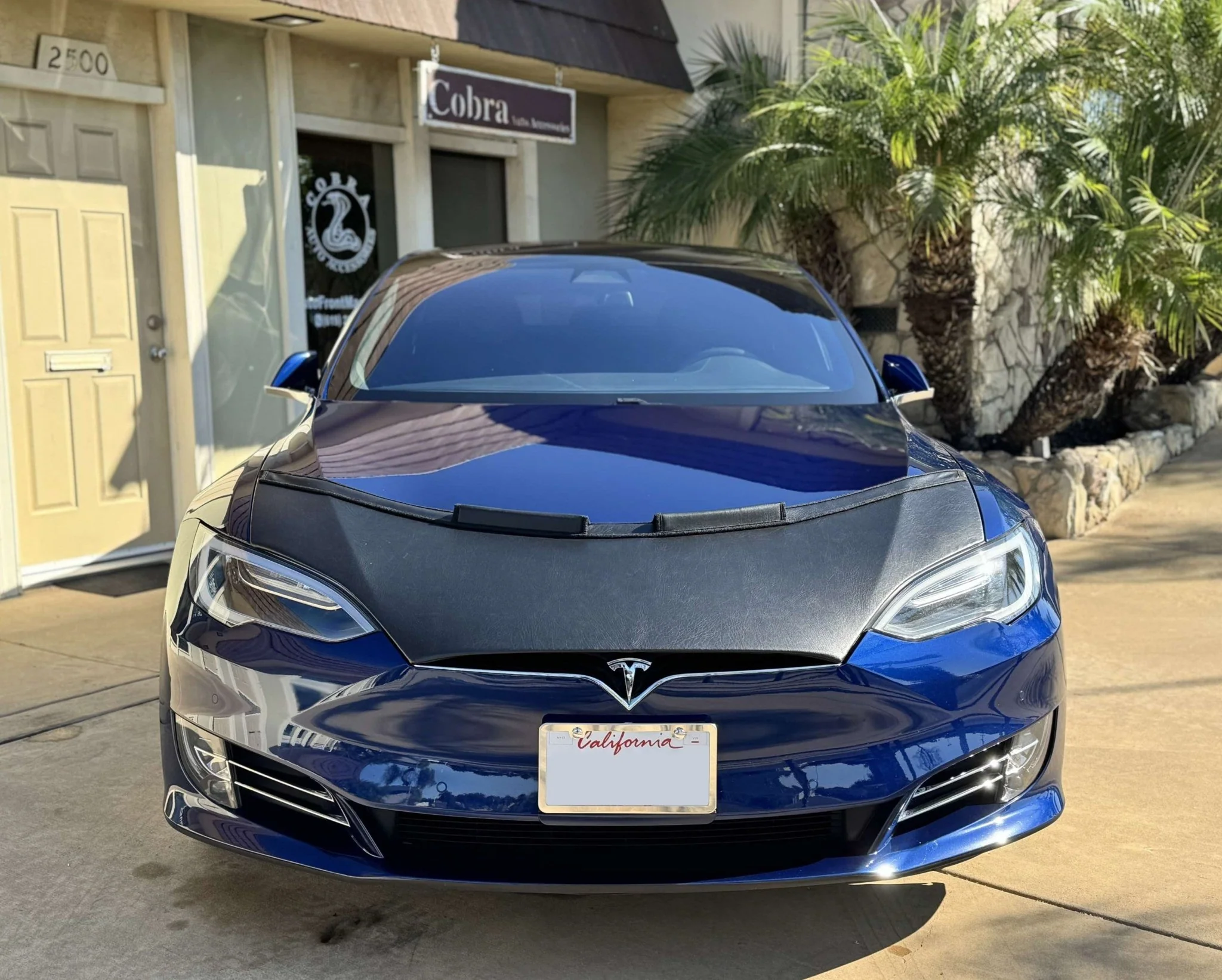 Hood Bra For Tesla Model S 2016-2021 - Image 4