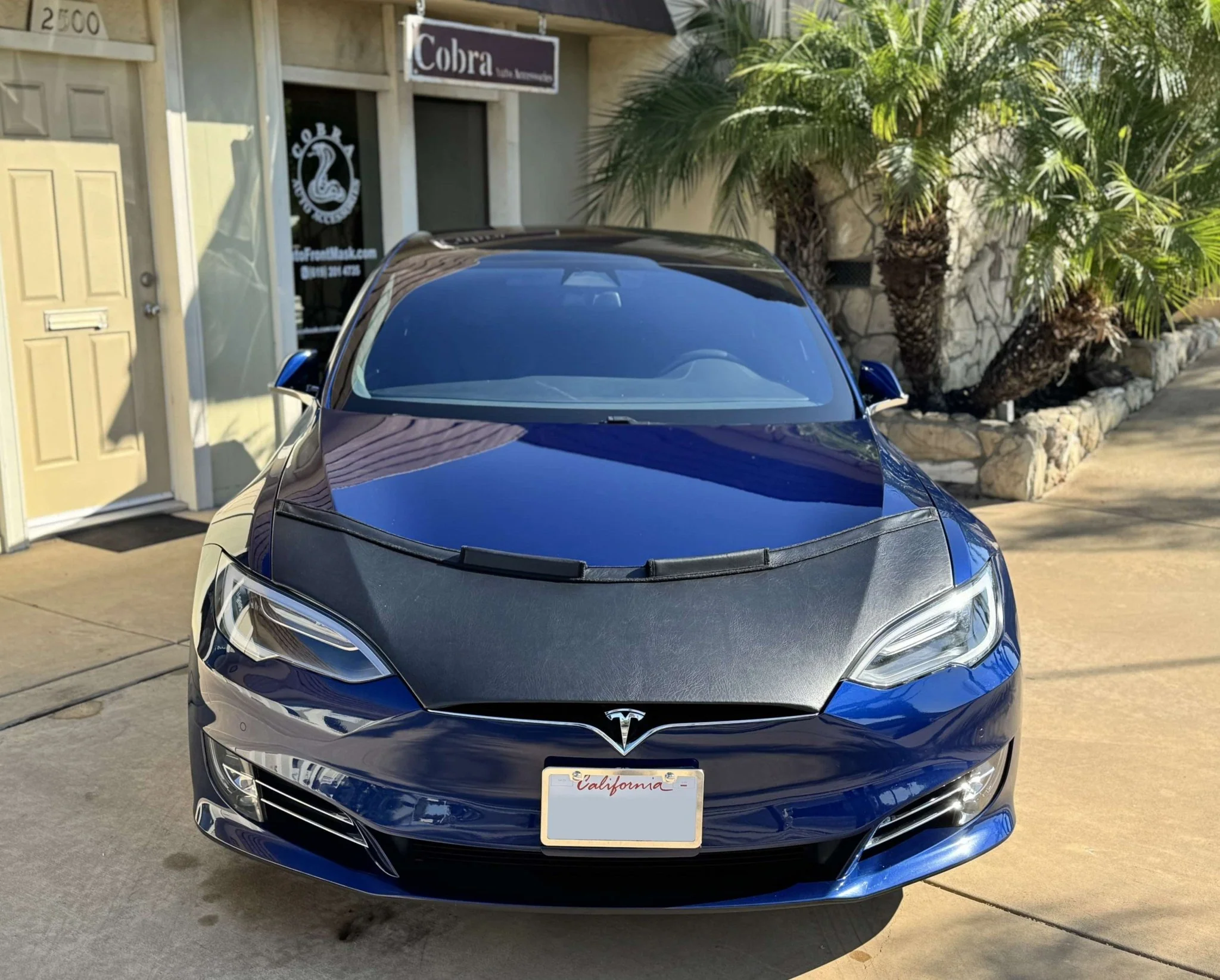 Hood Bra For Tesla Model S 2016-2021 - Image 7