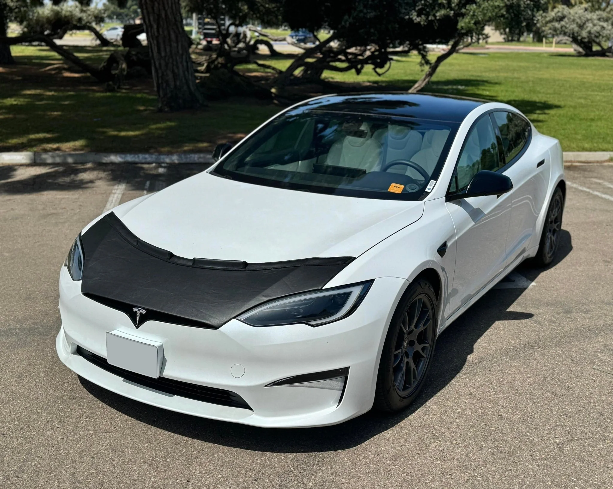Hood Bra For Tesla Model S 2022-2025 - Image 7