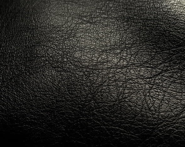 Hood Bra For Tesla Model X 2016-2020 - Image 6