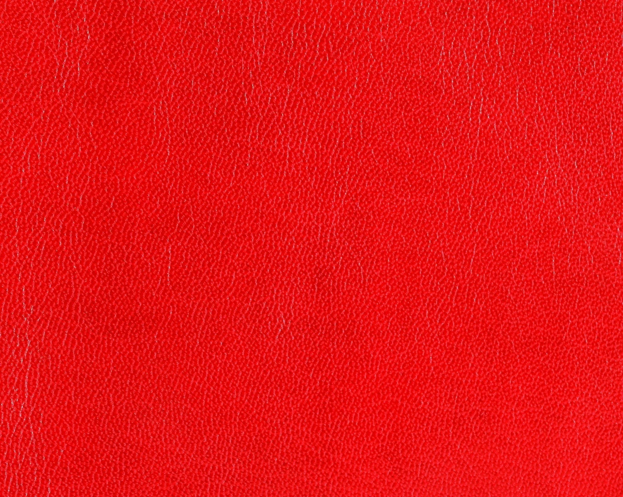 Hood Bra For Tesla Model X 2016-2020 - Image 8