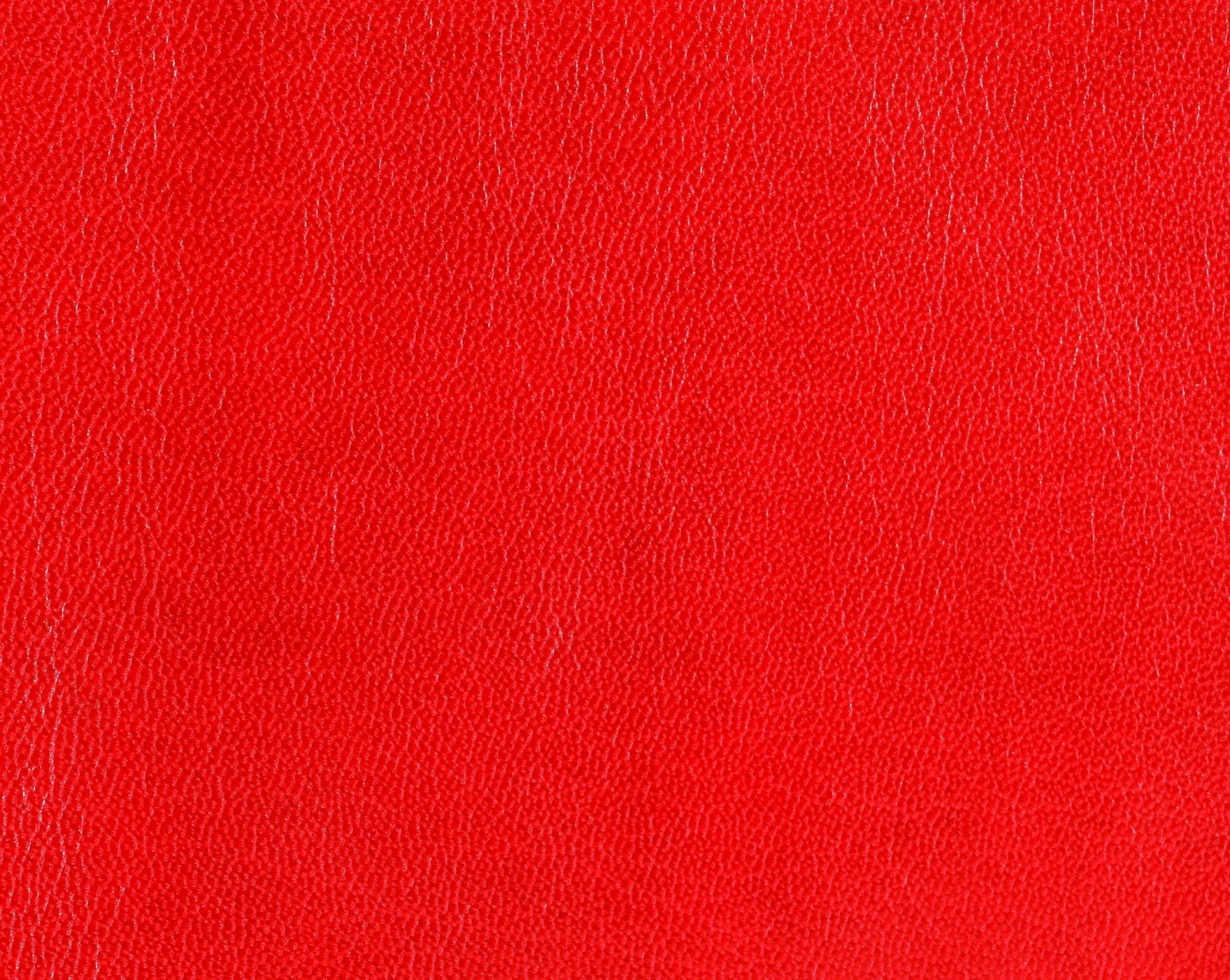 Hood Bra For Tesla Model Y 2020-2025 - Image 5